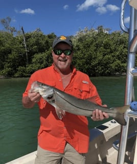 Snook Fishing in Englewood, Florida