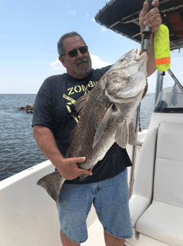 Black Drum Fishing in Biloxi, Mississippi