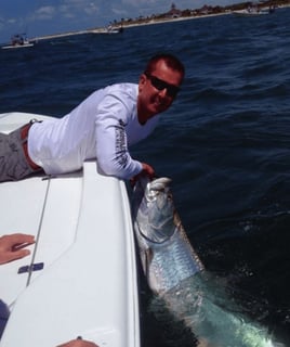 Tarpon Fishing in Englewood, Florida