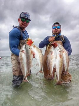 Wading the Laguna Madre