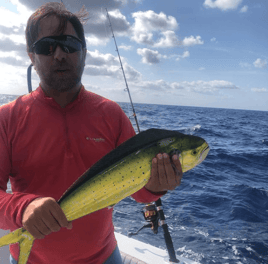 Mahi Mahi Fishing in Islamorada, Florida