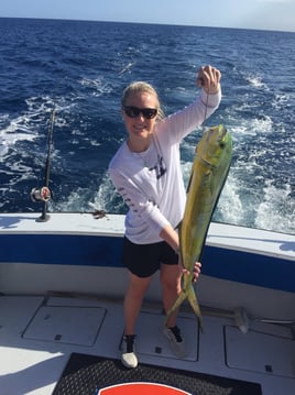 Mahi Mahi Fishing in West Palm Beach, Florida