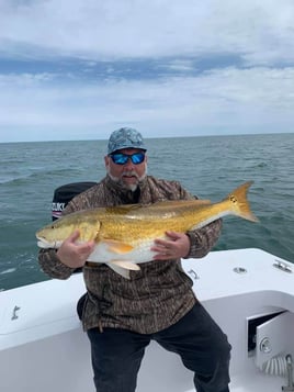 Hatteras Inshore & Nearshore