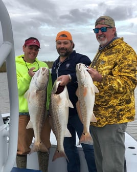 Full Day Inshore - 24' Gravois