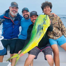 Mahi Mahi Fishing in Miami Beach, Florida