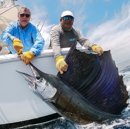 World Class Pacific Billfish Bash