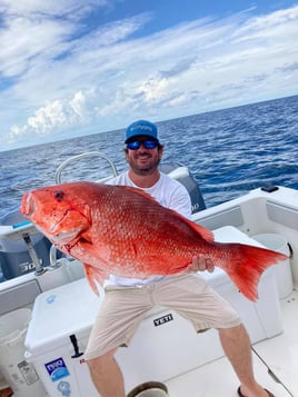 Red Snapper Fishing in Orange Beach, Alabama