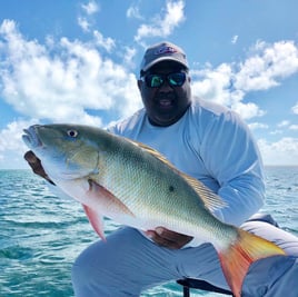 Mutton Snapper Fishing in Homestead, Florida