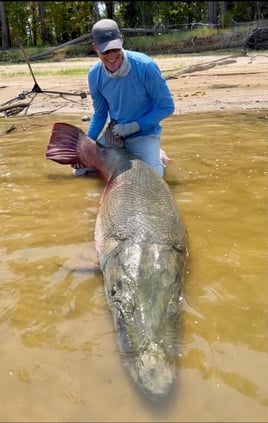 World Record Alligator Gar