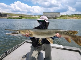 World Record Alligator Gar