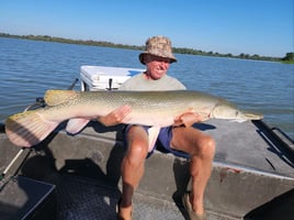 World Record Alligator Gar