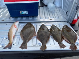 Flounder, Redfish Fishing in Texas City, Texas