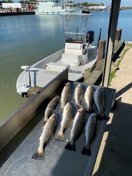 Texas City Inshore Roundup