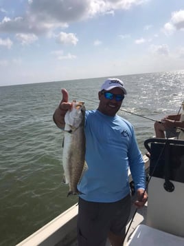 22' Whaler Inshore