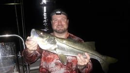 St. Pete Night Fishing Trip