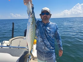 Spanish Mackerel Fishing in St. Petersburg, Florida