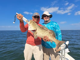 Gag Grouper Fishing in St. Petersburg, Florida