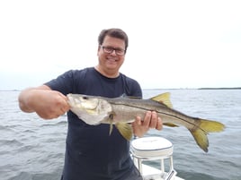 Snook Fishing in St. Petersburg, Florida