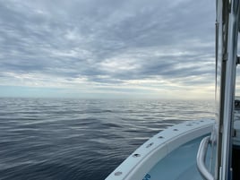 Full Day Offshore Grouper/Snapper