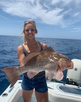 Full Day Offshore Grouper/Snapper