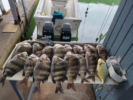 Galveston Nearshore Hunt