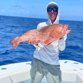 Full Day Offshore Grouper/Snapper