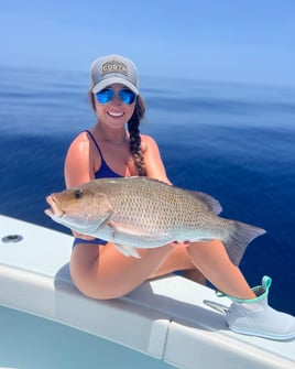 Full Day Offshore Grouper/Snapper