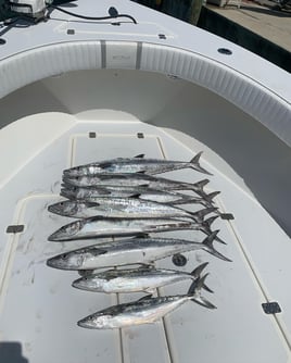 4 Hour Nearshore (13-20mi)