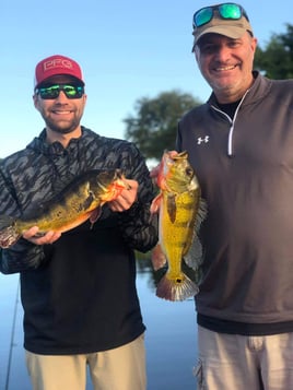 Peacock Bass Fishing in Delray Beach, Florida