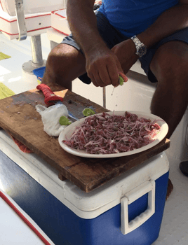 Gitana Fishing - Half Day Offshore