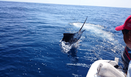 Gitana Fishing - Half Day Offshore