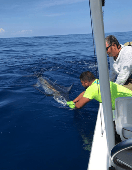 Gitana Fishing - Half Day Offshore