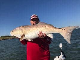 Galveston Inshore Trip