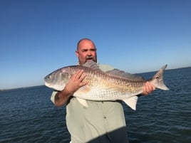 Galveston Inshore Trip