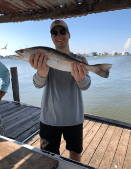 Galveston Inshore Trip