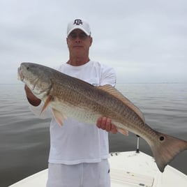 Redfish Fishing in Galveston, Texas