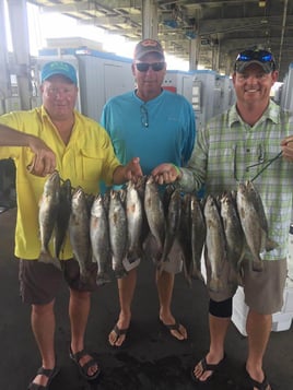 Speckled Trout Fishing in Riviera Beach, Texas