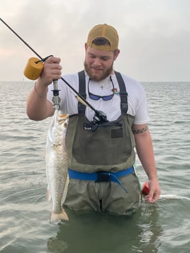 Galveston Bay Tarpon Hunt