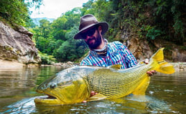 Golden Dorado Fishing in Santa Cruz, Bolivia