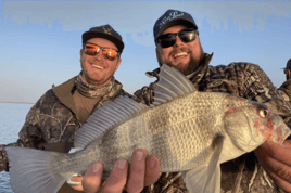 Black Drum Fishing in Rockport, Texas