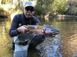 Pike in the Alaska Wilderness