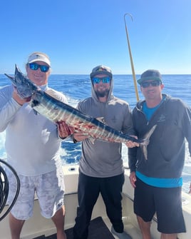 Wahoo Fishing in Key West, Florida