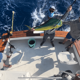 Offshore Fishing,Reef & Wreck and Sunset