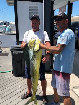 Mahi Mahi Fishing in Key West, Florida