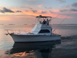 Offshore Fishing Trip