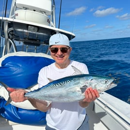 False Albacore Fishing in Stock Island, Florida