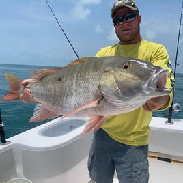 Mutton Snapper Fishing in Stock Island, Florida