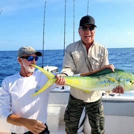 Mahi Mahi Fishing in Stock Island, Florida