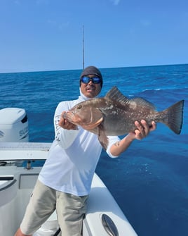 Red Grouper Fishing in Key West, Florida