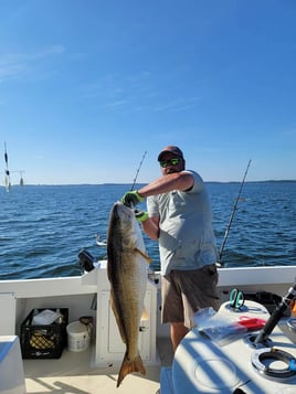 Redfish Fishing in Reedville, Virginia